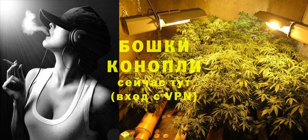 молекула духа Баксан