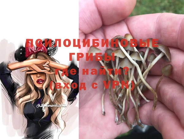 мдпв Балабаново