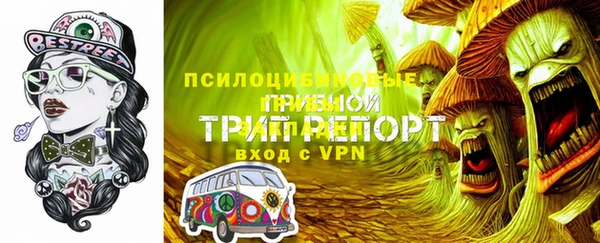 молекула духа Баксан