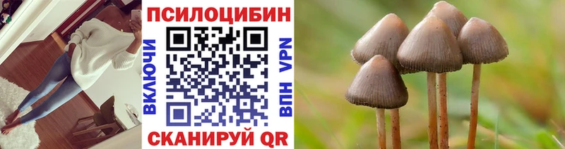 Галлюциногенные грибы Psilocybe  Заозёрск 